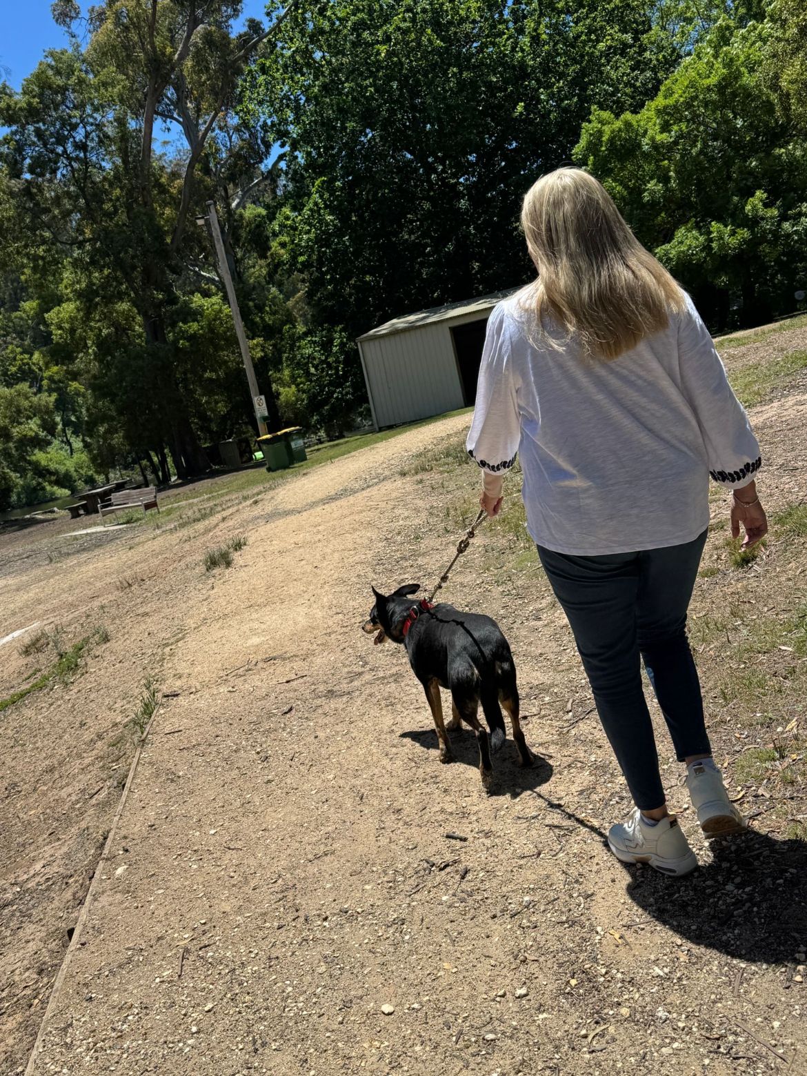 A walk with the dog along a local path